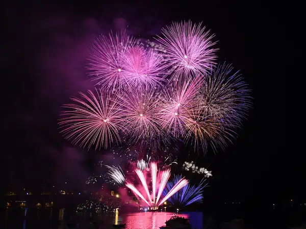 Maltese festa