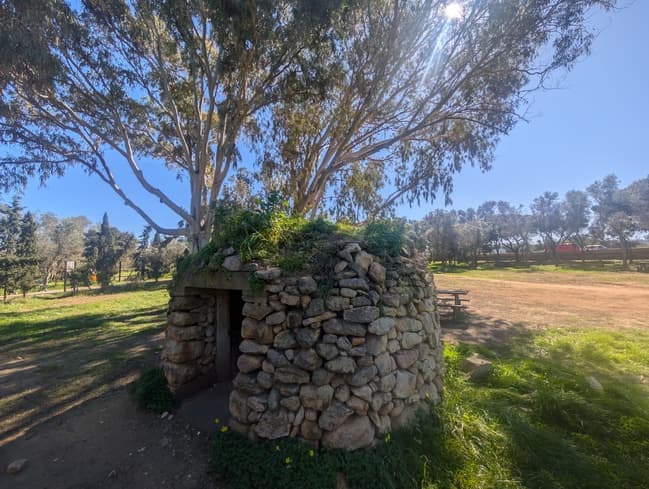 The sun shining on a Maltese Girna