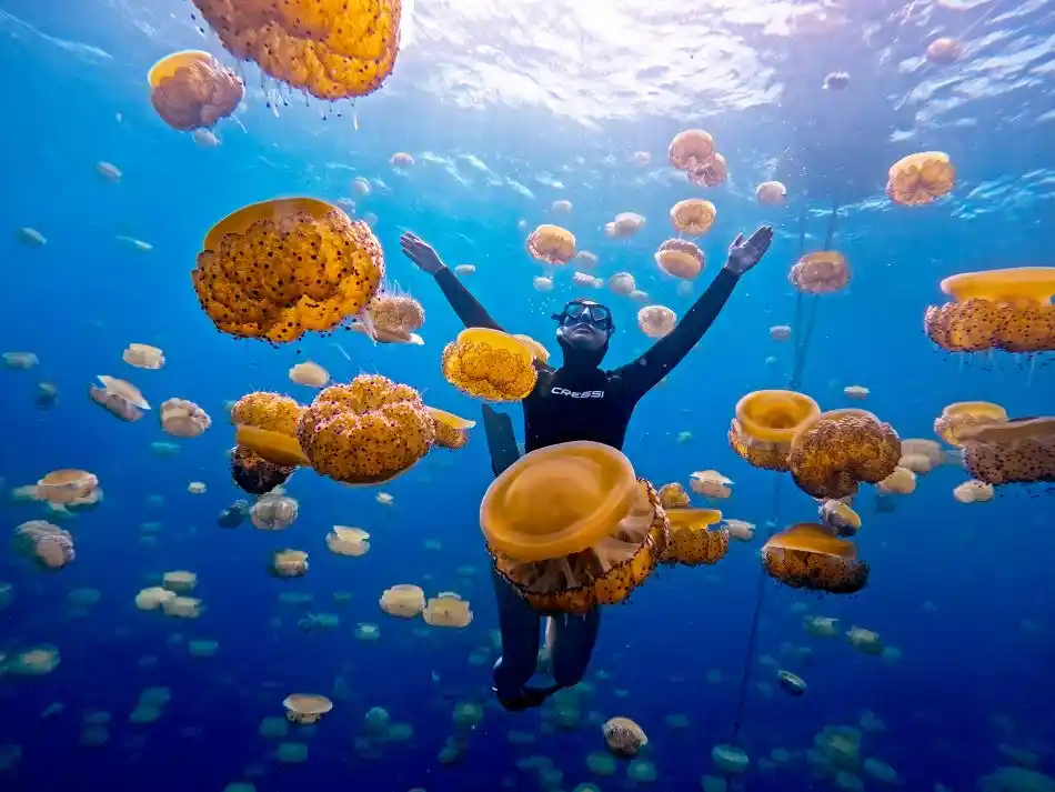 Hovering on top of a wreck whilst free diving in Malta.