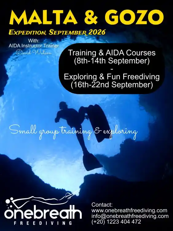 Free diving Malta course Malta