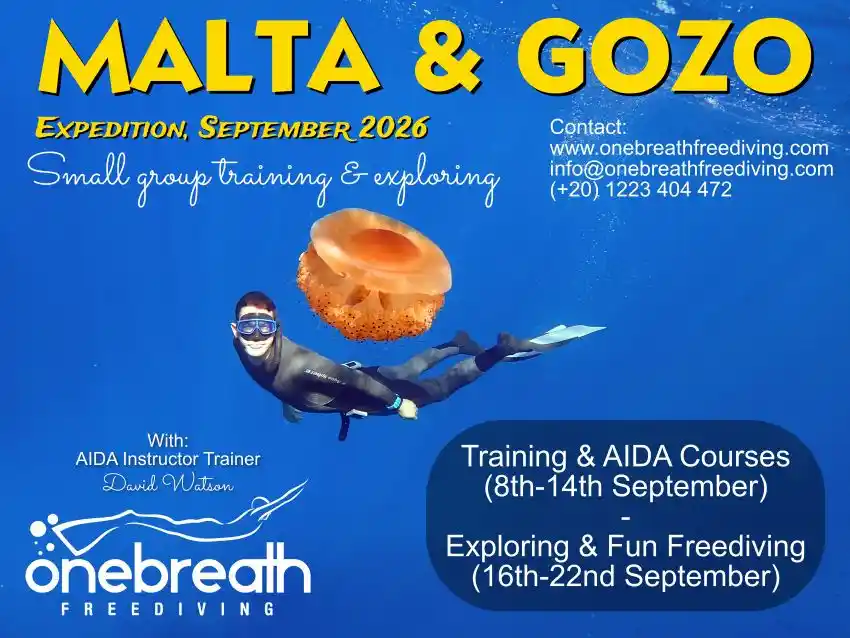 Free diving Malta course