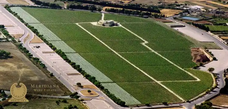Aerial view of Meridiana Wine Estate in Ta' Qali, Malta