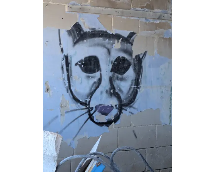 Street Art, In Marsascala, at the tip of the bay.