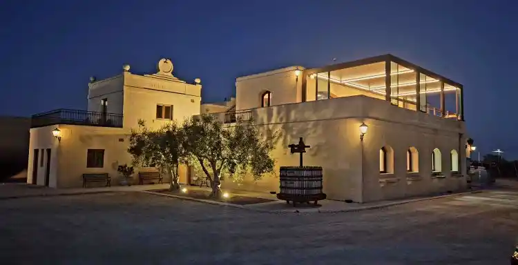 Rows of grapevines at Meridiana Wine Estate in the Maltese countryside near Mdina