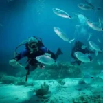 Divers in Malta, approaching an under sea cave